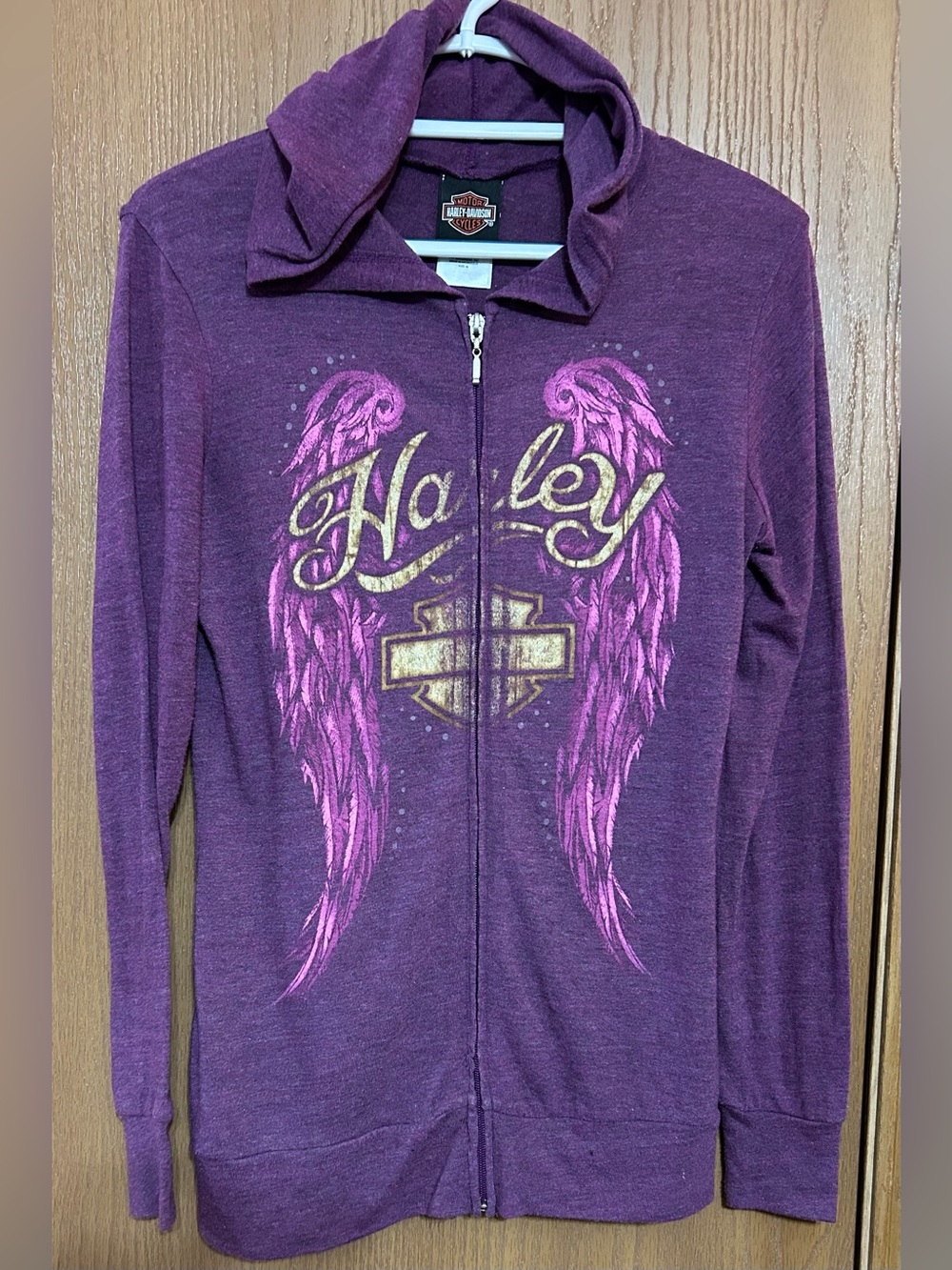 Harley Davidson Wings Logo Hoodie